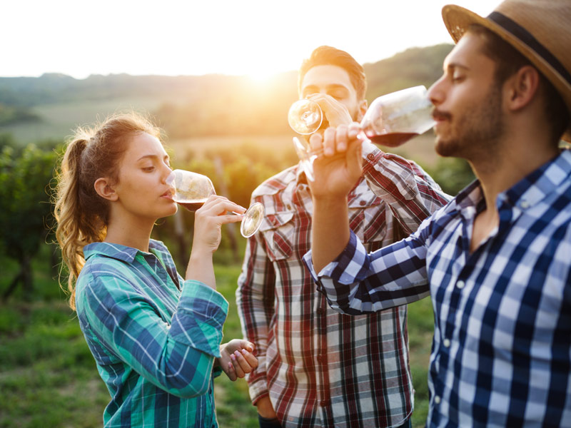 De nouvelles expériences d'oenotourisme